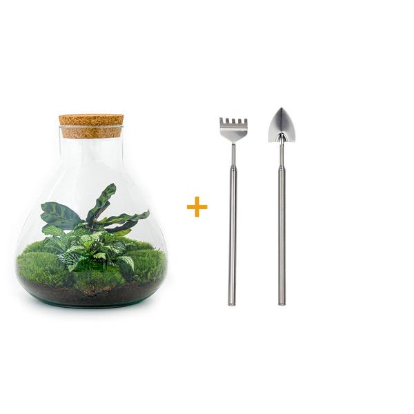 Terrariumglas mit Kork + Kit / Terrarium Glass with cork