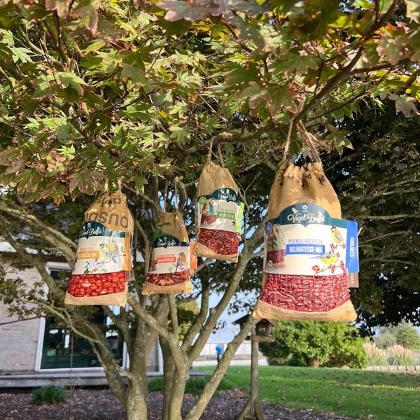 Vogelbuffet - Vogelfutter Picknickmischung 4er Set - 4x 300 gr / Bird-Buffet - Bird Food Picnic-Mix